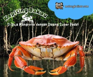 kepiting bakau